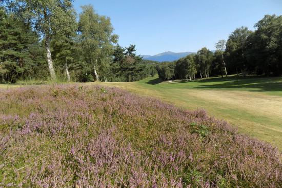 Golf des Iles Borromées