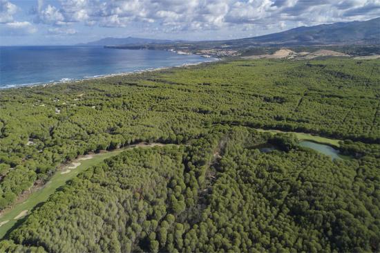 Is Arenas Golf