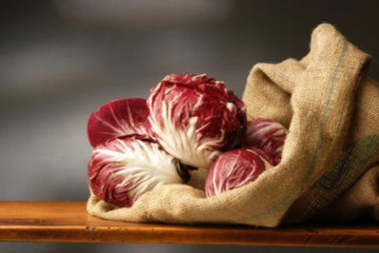 Radicchio trevigiano