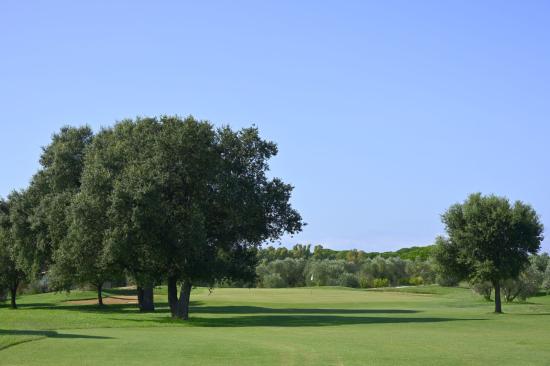 Riva Toscana Golf Club