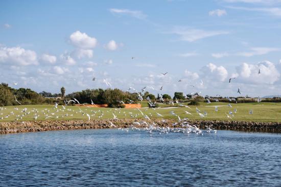 San Domenico Golf