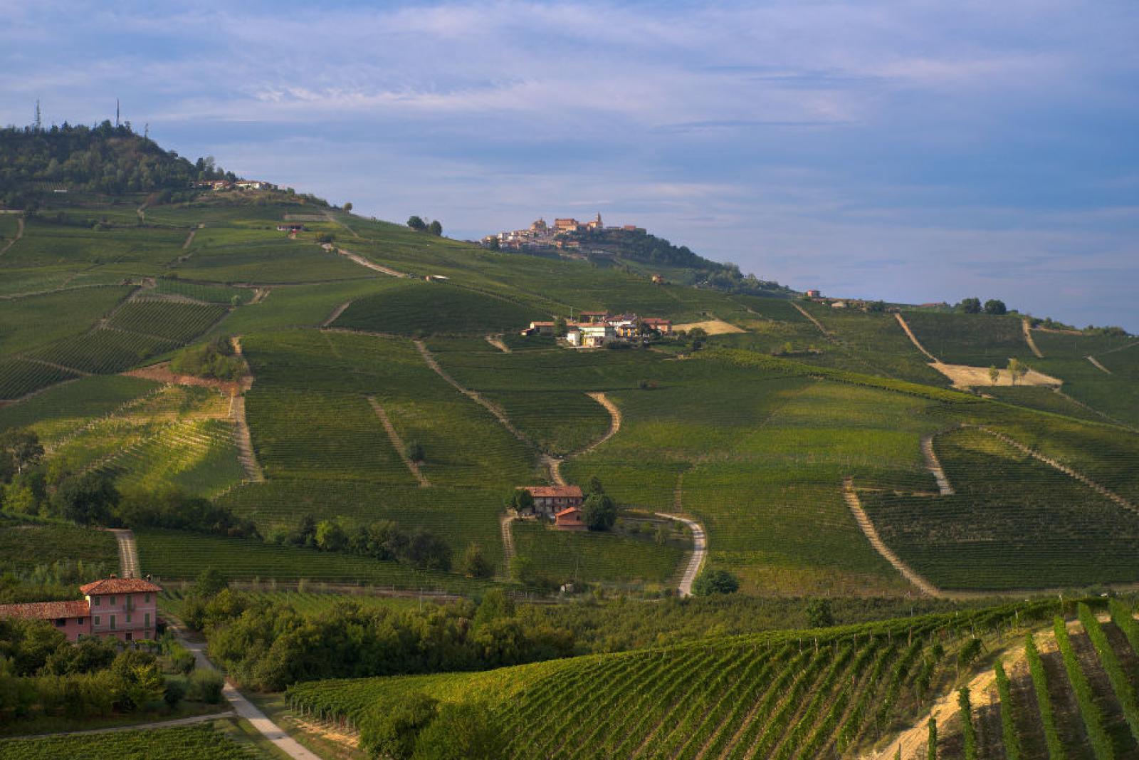 Langhe