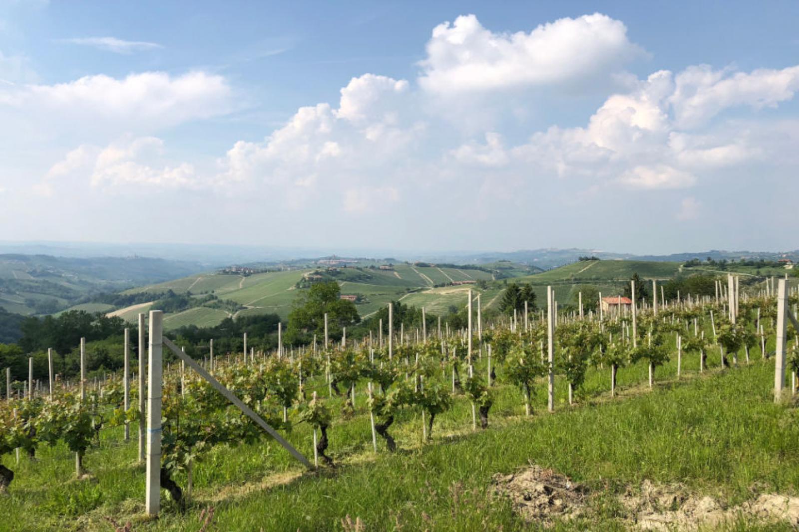 Langhe