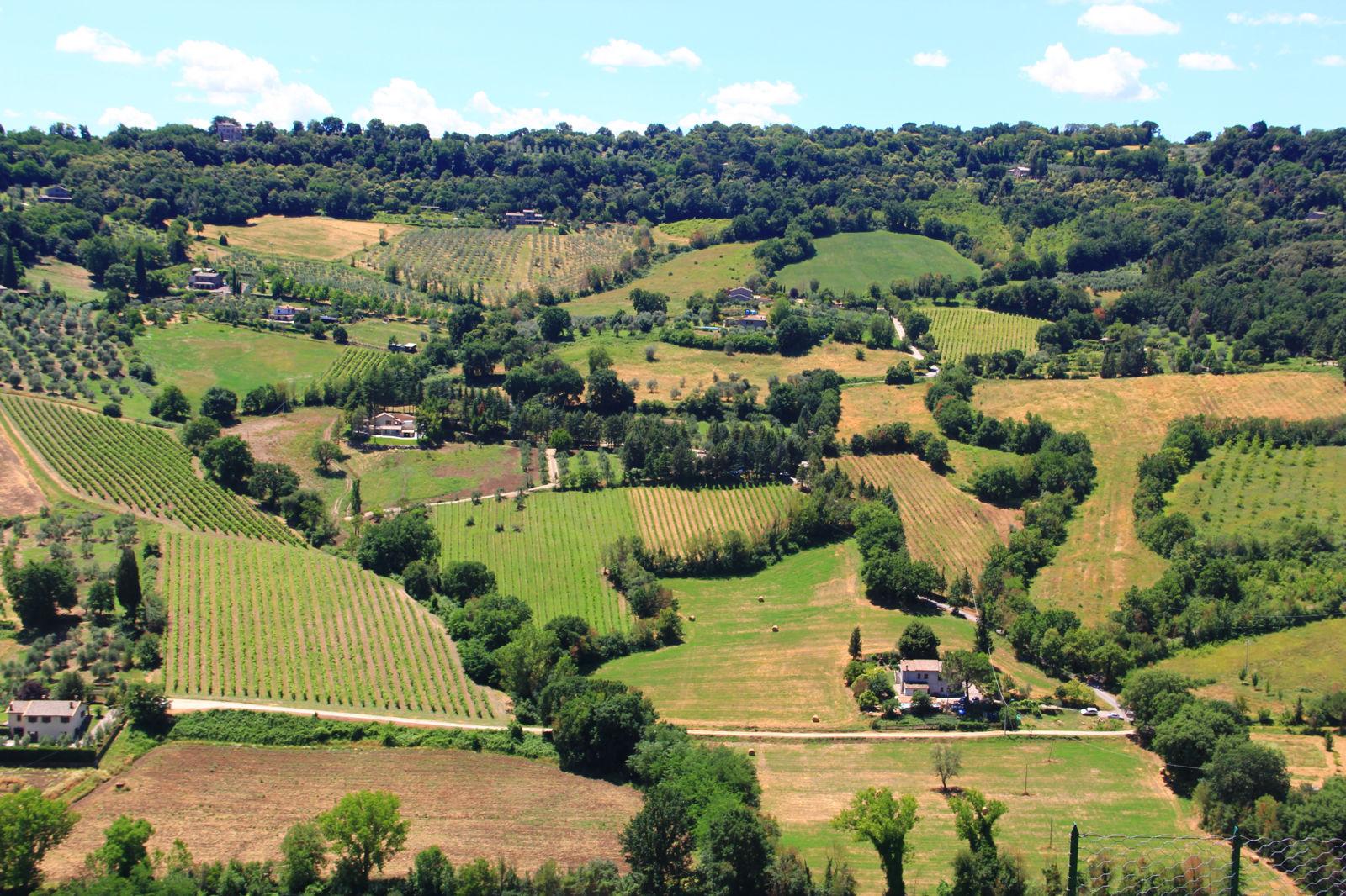 Orvieto